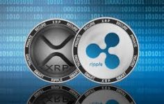 1 Ripple Kaç TL? 