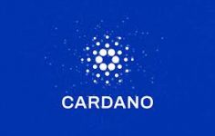 Cardano