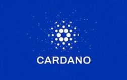 Cardano