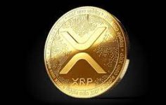 Xrp Ripple Kaç tl