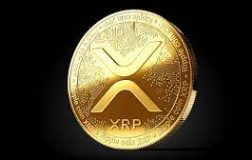 Xrp Ripple Kaç tl